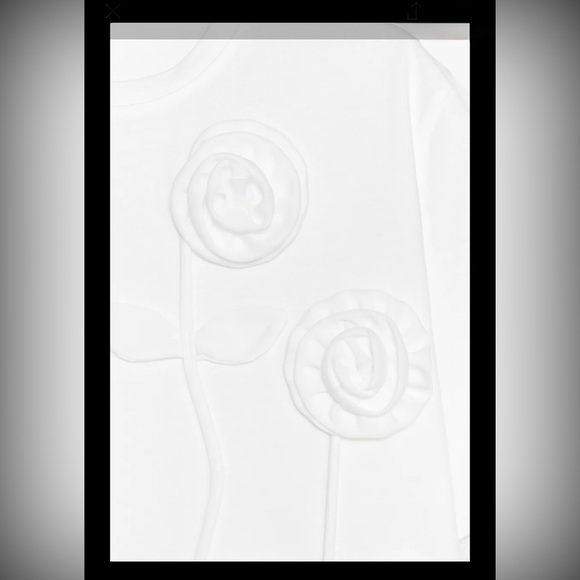 Zara White Tonal Floral T-shirt | Short Sleeves | XL | Cotton | NWT | Sold Out - Picture 8 of 12